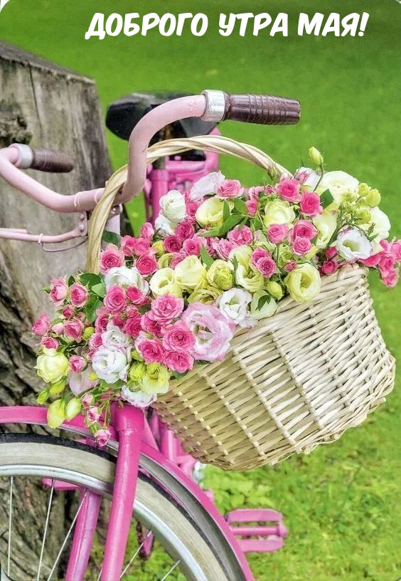 Доброго утра мая!
