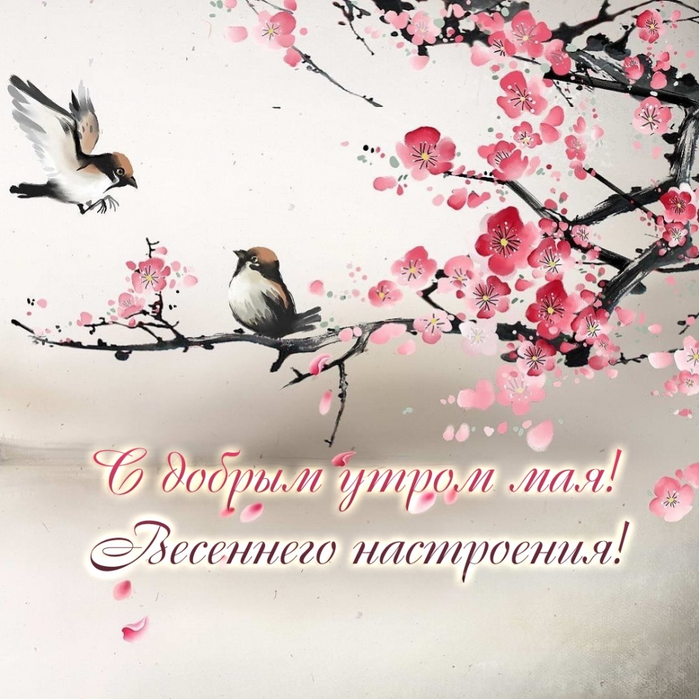 С добрым утром мая! Весеннего настроения!