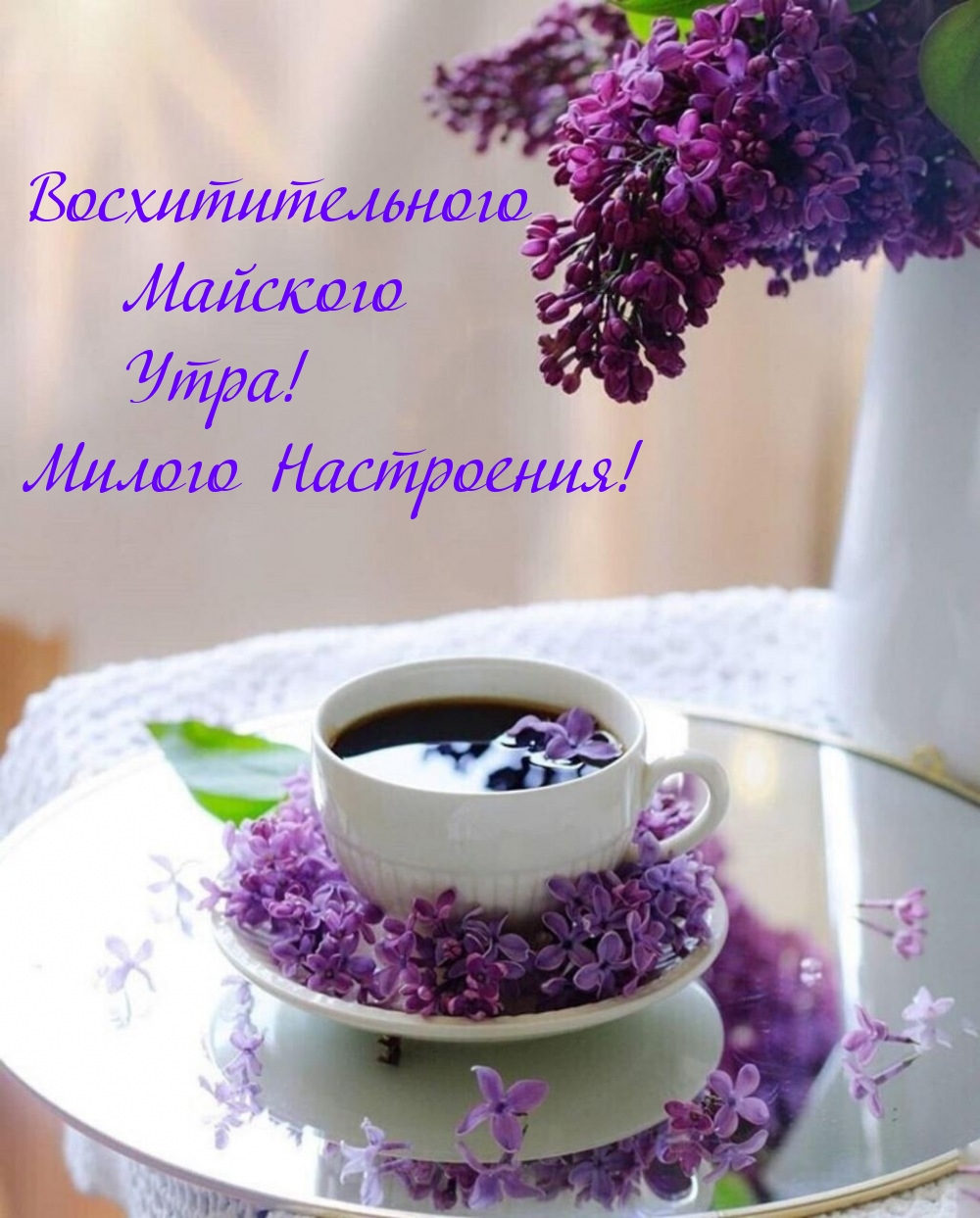 Восхитительного Майского Утра! Милого Настроения!