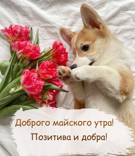 Доброго майского утра! Позитива и добра!