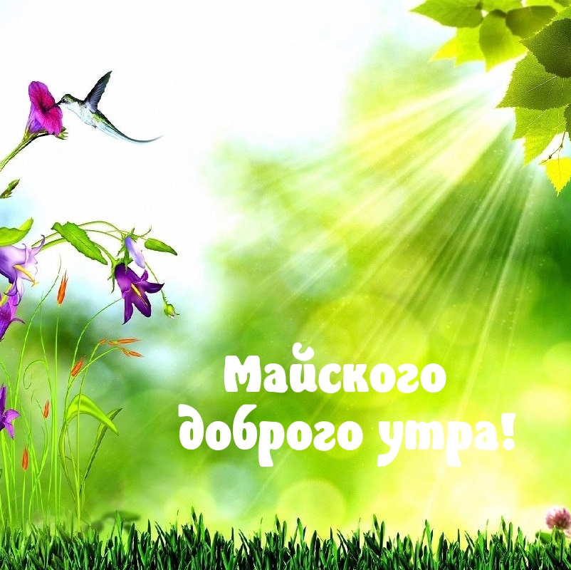Майского доброго утра!