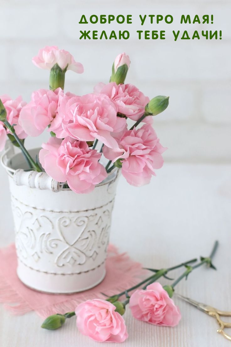Доброе утро мая! Желаю тебе удачи!