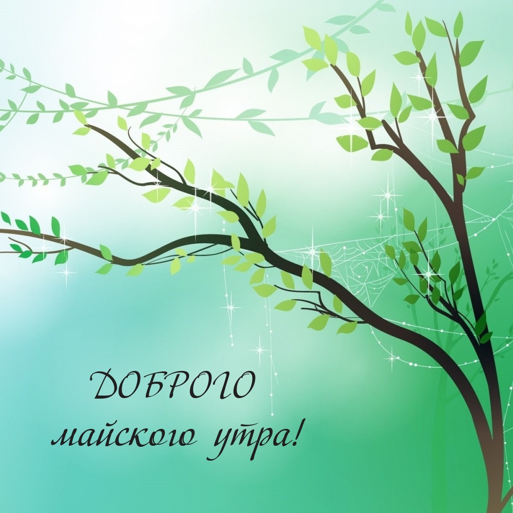 Доброго майского утра!