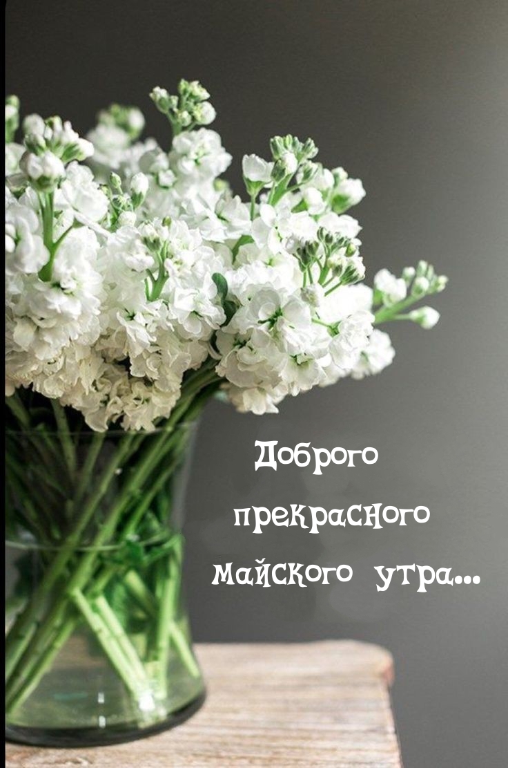 Доброго прекрасного майского утра...