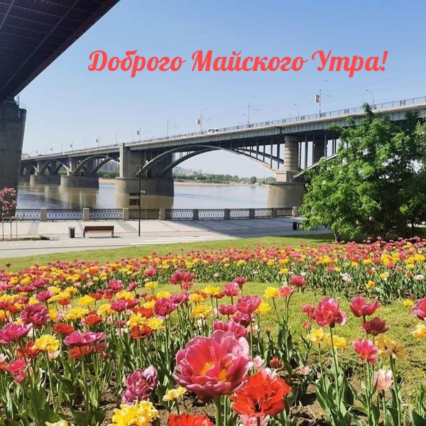 Доброго Майского Утра!