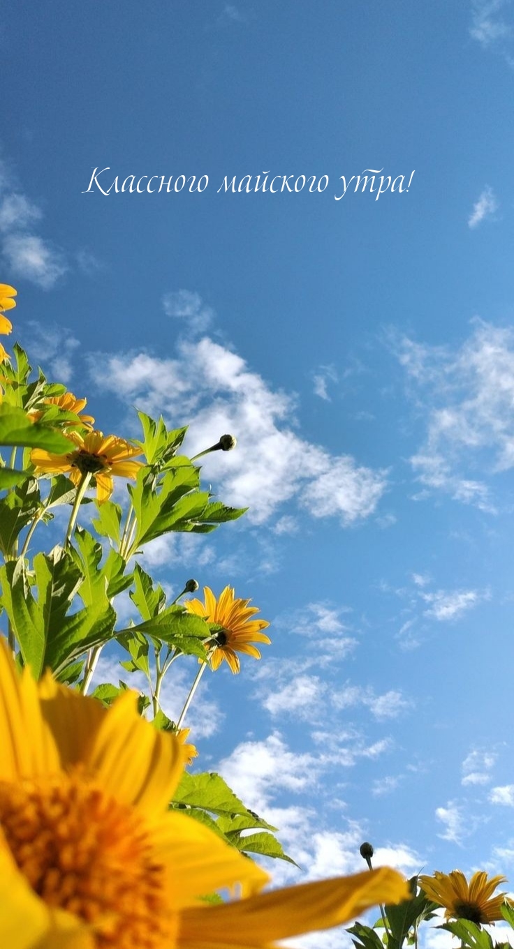 Классного майского утра!