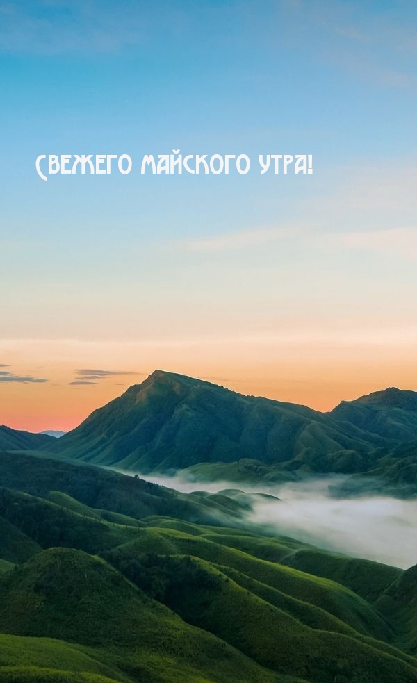 Свежего майского утра!
