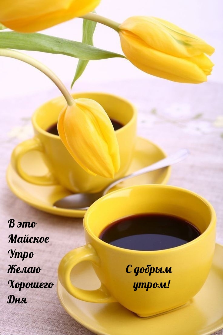 В это майское утро желаю хорошего дня! С добрым утром!