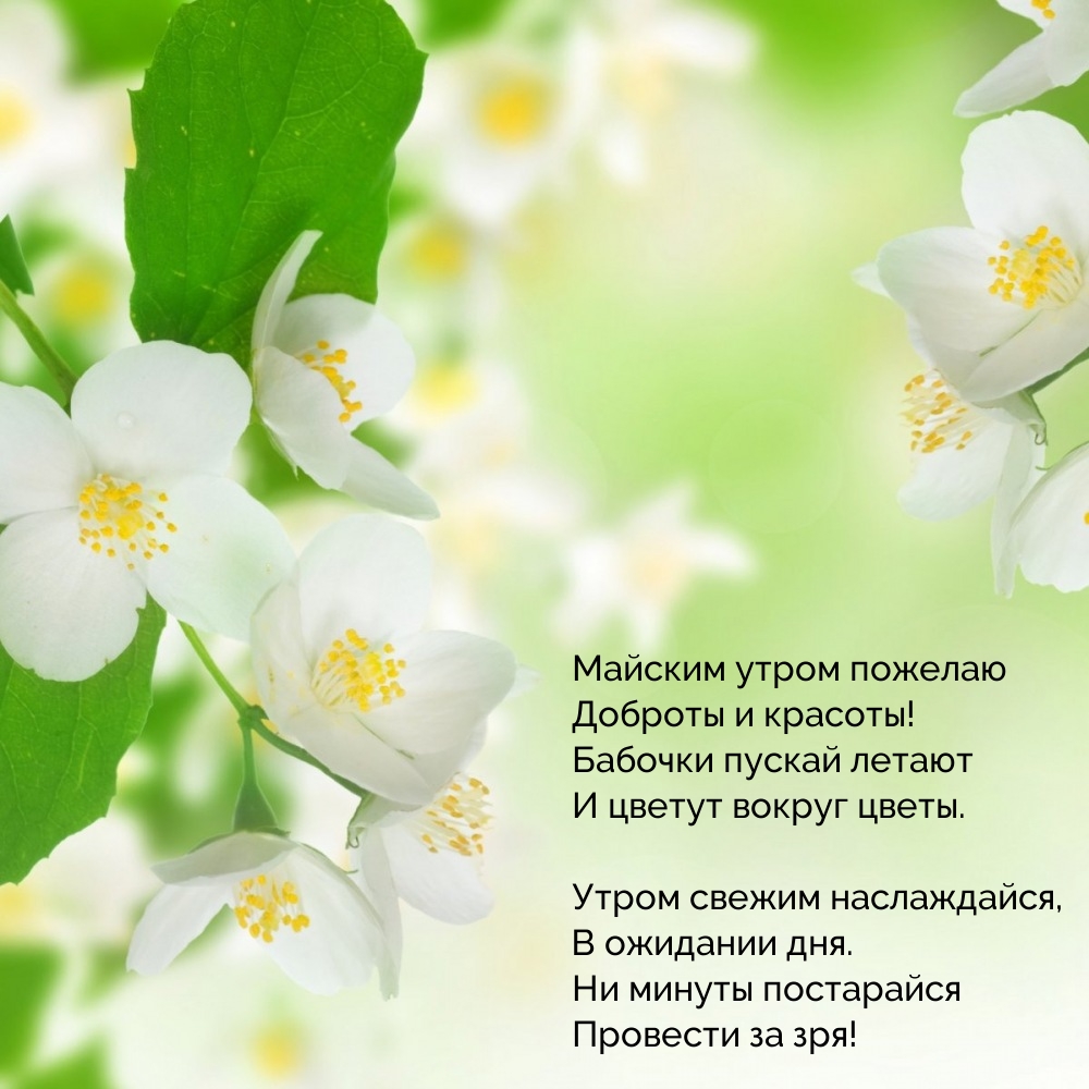 Майским утром пожелаю доброты и красоты!