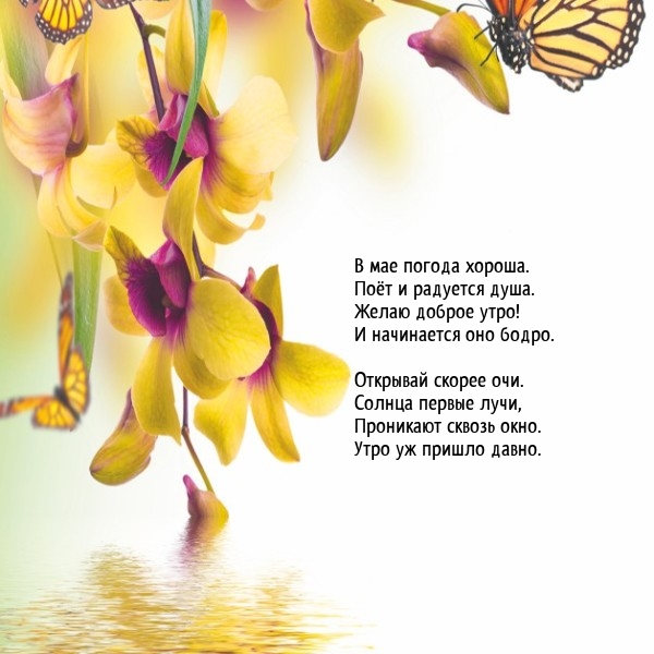 В мае погода хороша. поёт и радуется душа.