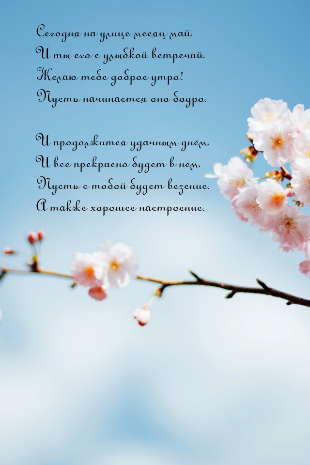 Сегодня на улице месяц май. И ты его с улыбкой встречай.