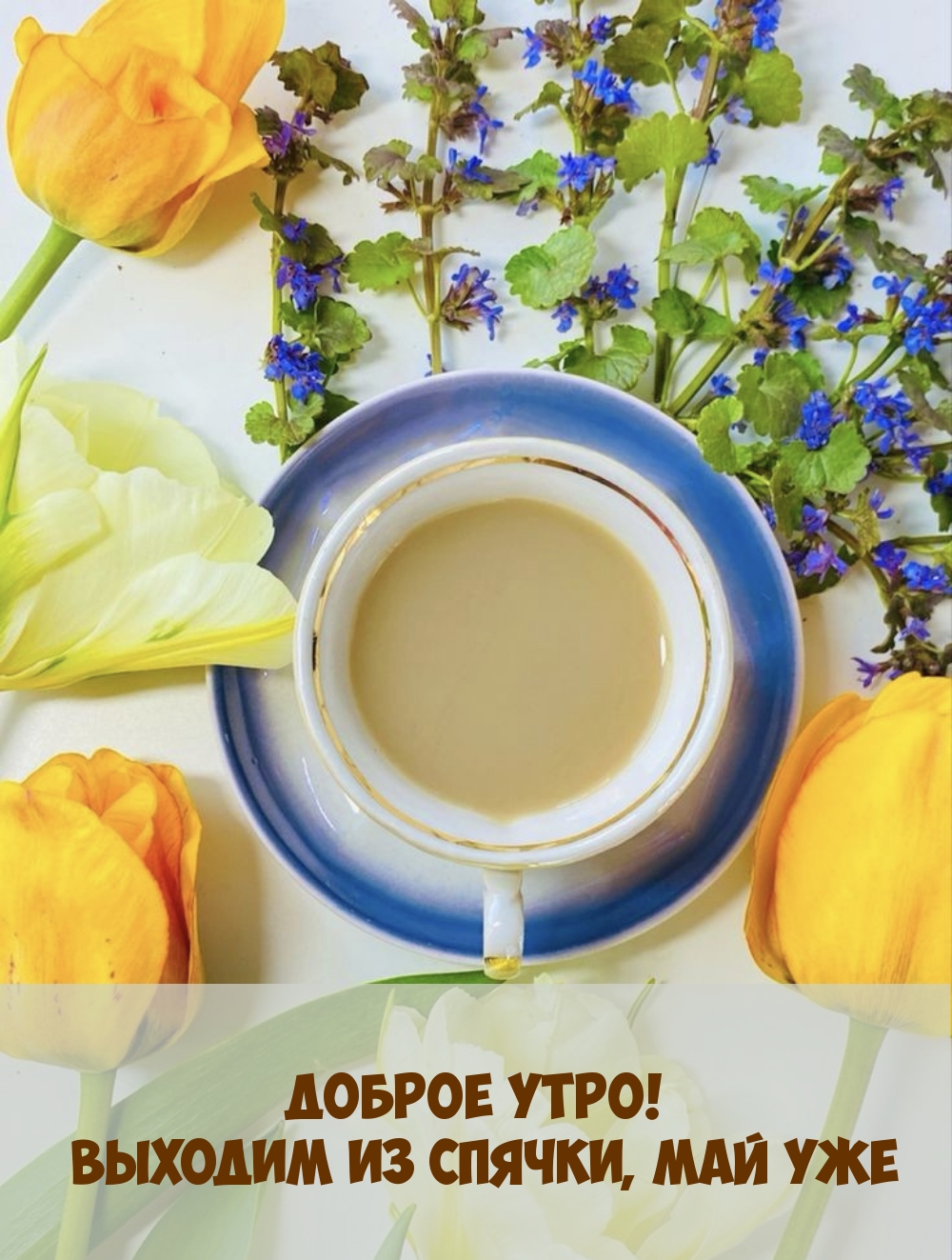 Доброе утро! Выходим из спячки, май уже