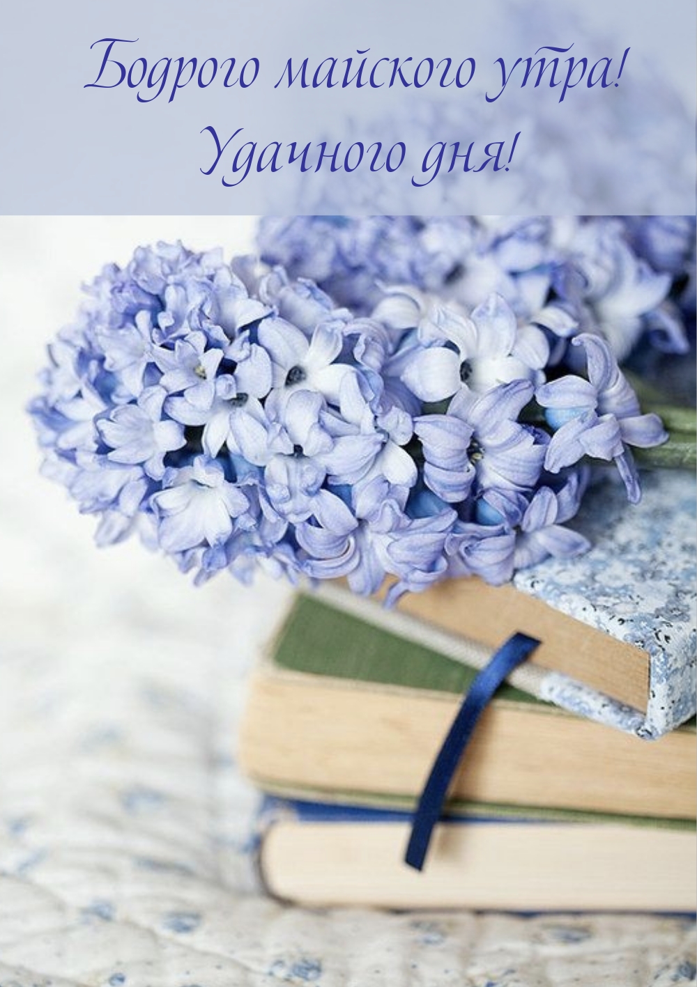 Бодрого майского утра! Удачного дня! 