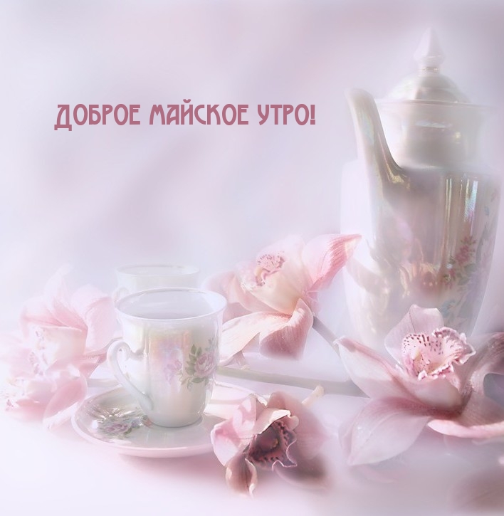 Доброе майское утро!