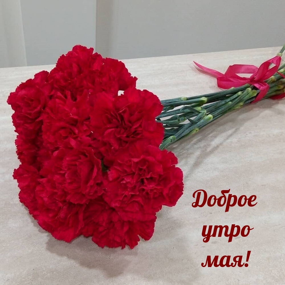 Доброе утро мая!