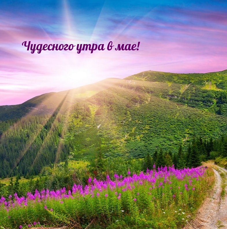 Чудесного утра в мае!