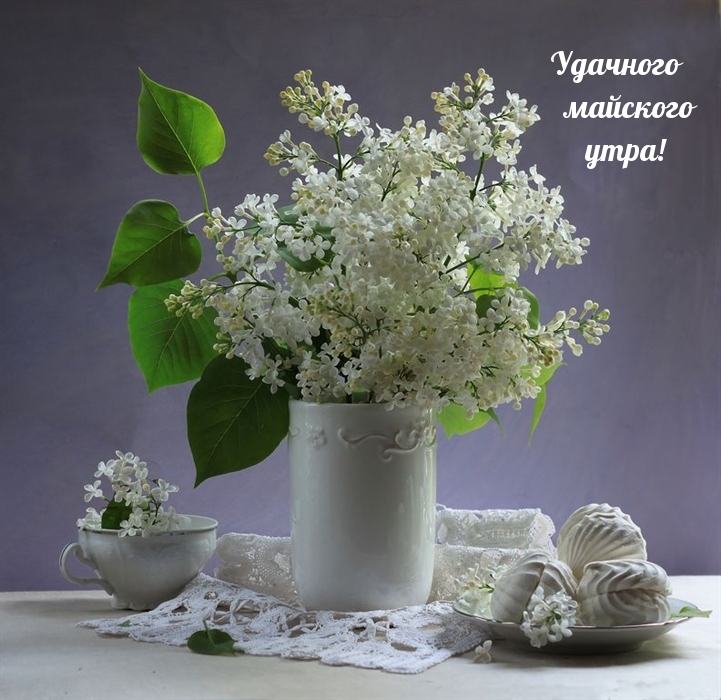 Удачного майского утра!