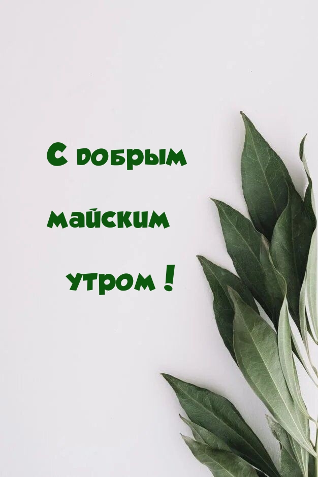 С добрым майским утром!