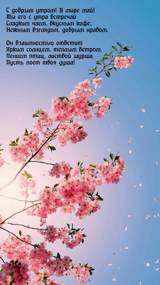 В мире май! Ты его с утра встречай сладким чаем, вкусным кофе