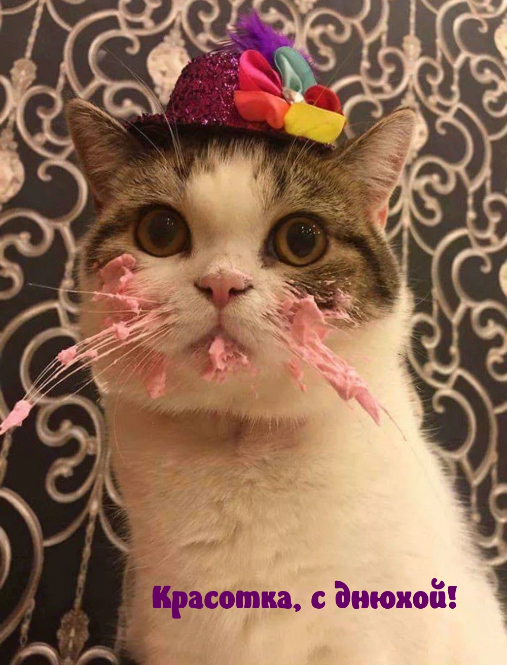 Красотка, с днюхой!