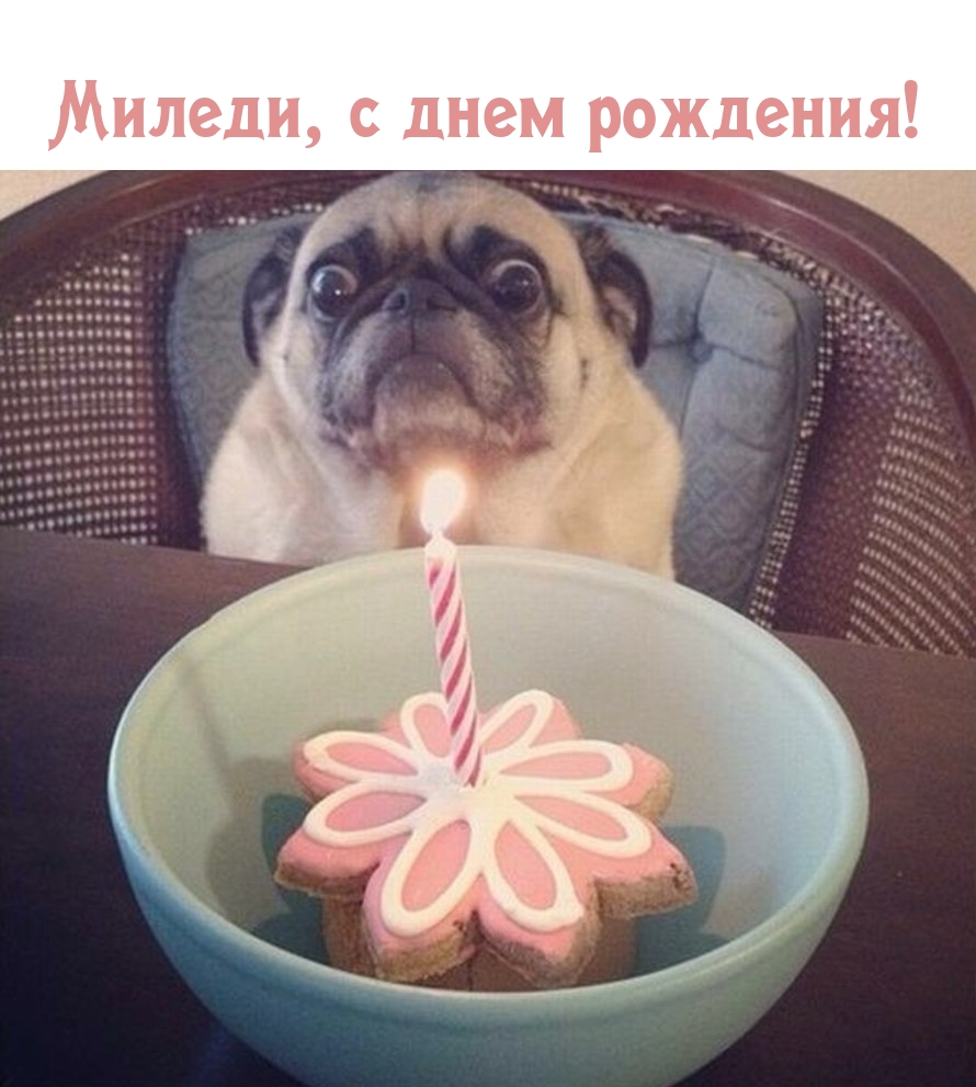 Миледи, с днем рождения!