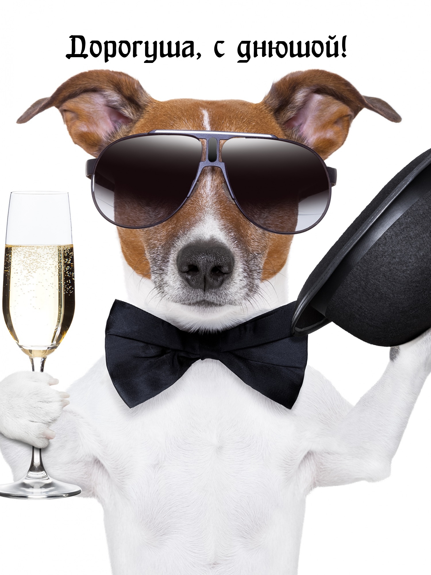 Дорогуша, с днюшой!