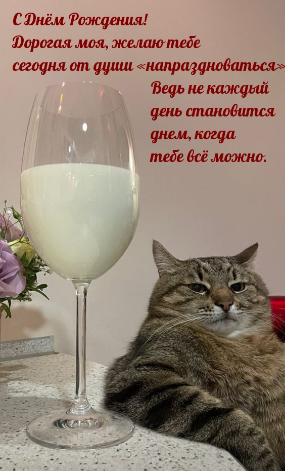 С Днём Рождения! Желаю тебе сегодня от души «напраздноваться»