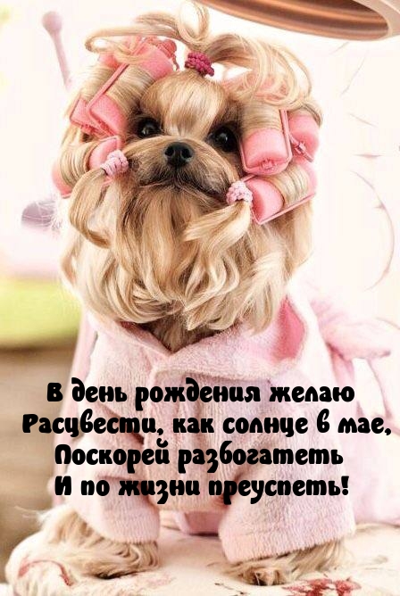 В день рождения желаю расцвести, как солнце в мае
