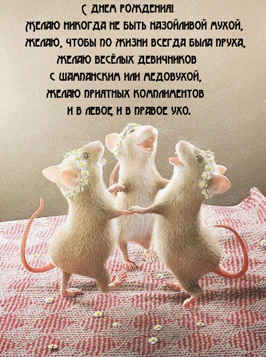 С днем рождения! Желаю никогда не быть назойливой мухой