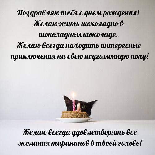 С днем рождения! Желаю жить шоколадно в шоколадном шоколаде. 