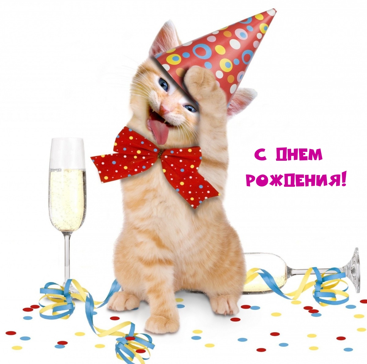 С днем рождения!