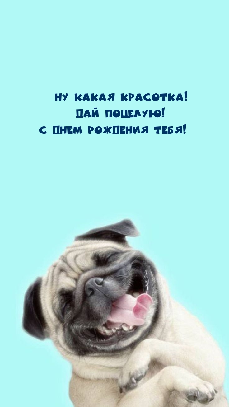 Ну какая красотка! Дай поцелую! С днем рождения тебя!