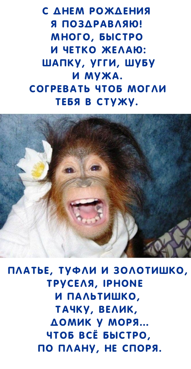 С днем рождения! Чтоб всё быстро, по плану, не споря.