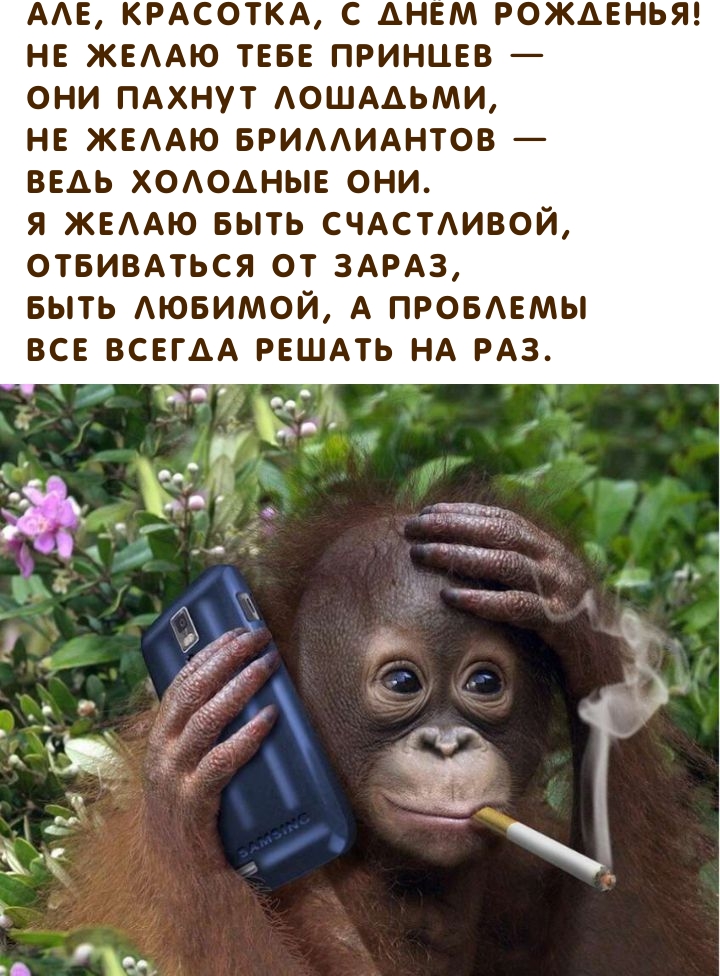 Але, красотка, с Днём Рожденья! Отбиваться от зараз