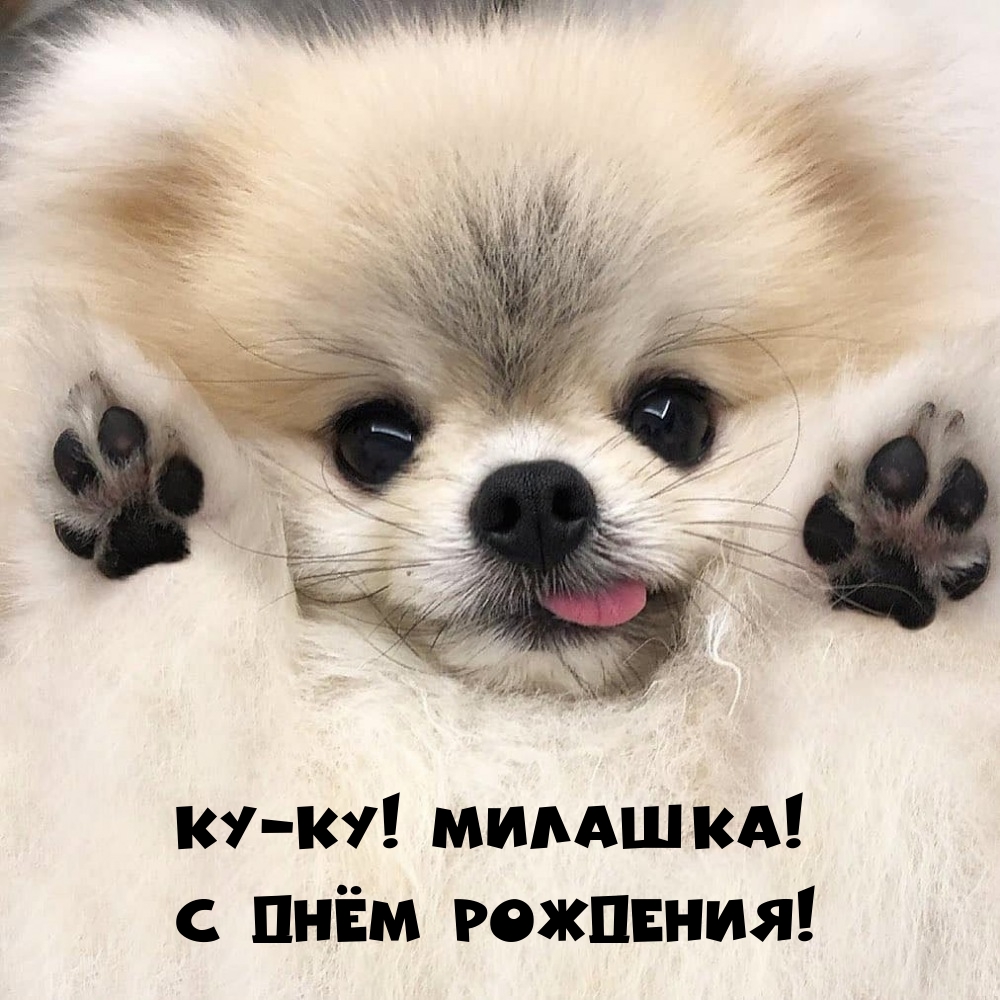 Ку-ку! Милашка! С Днём Рождения!