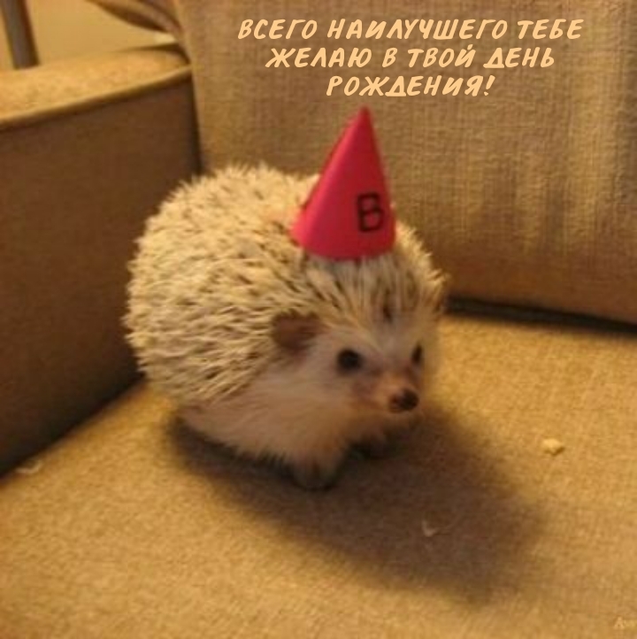 Всего наилучшего тебе желаю в твой день рождения!