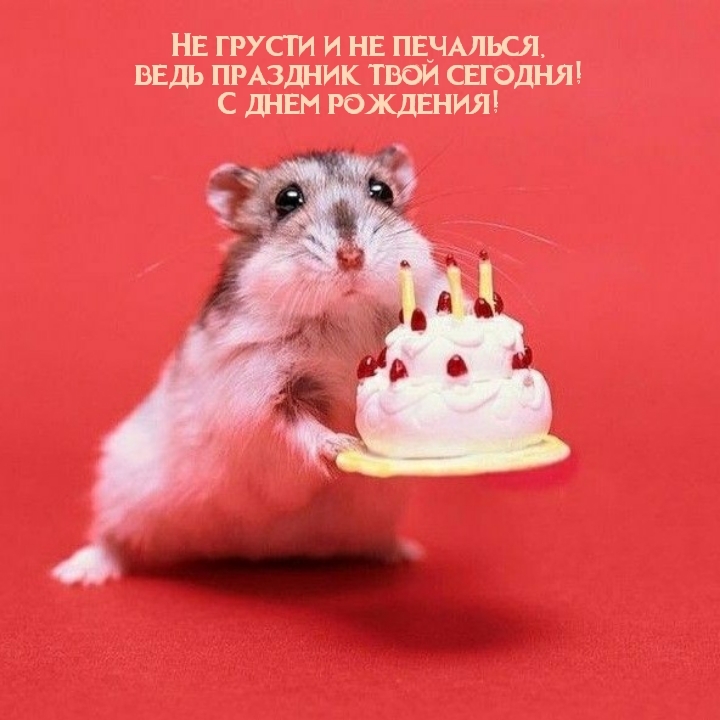 Не грусти и не печалься, ведь праздник твой сегодня!