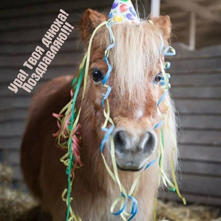 Ура! Твоя днюха! Поздравляю!!!