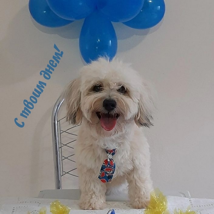 С твоим днем!