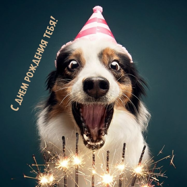 С днем рождения тебя!