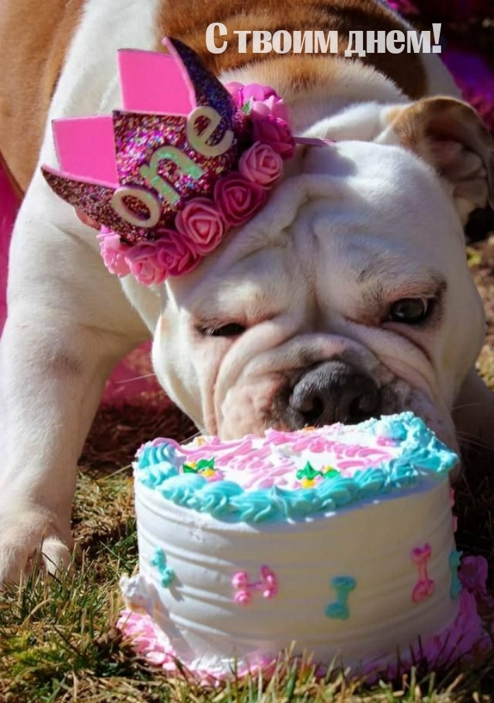 С твоим днем!