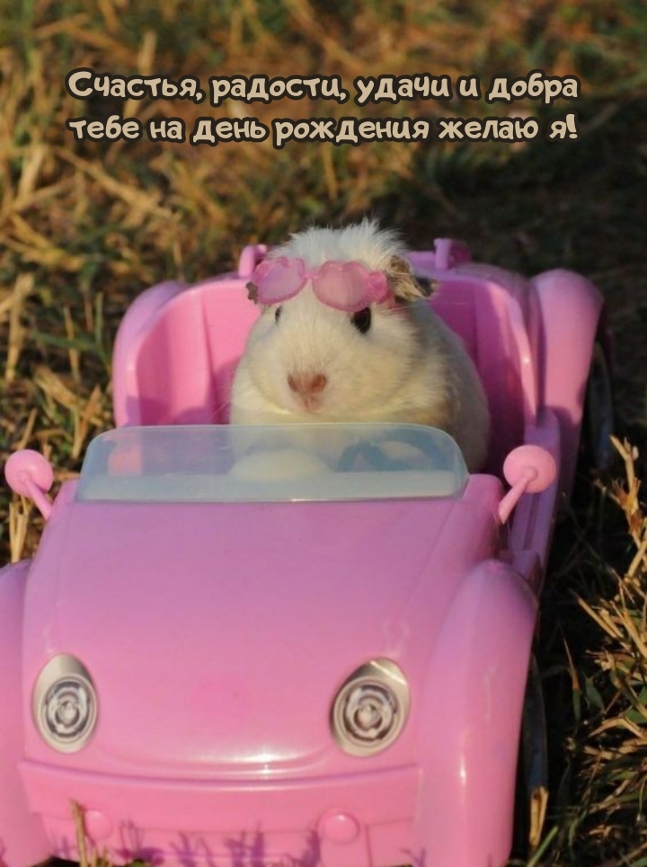 Счастья, радости, удачи и добра тебе на день рождения желаю я!