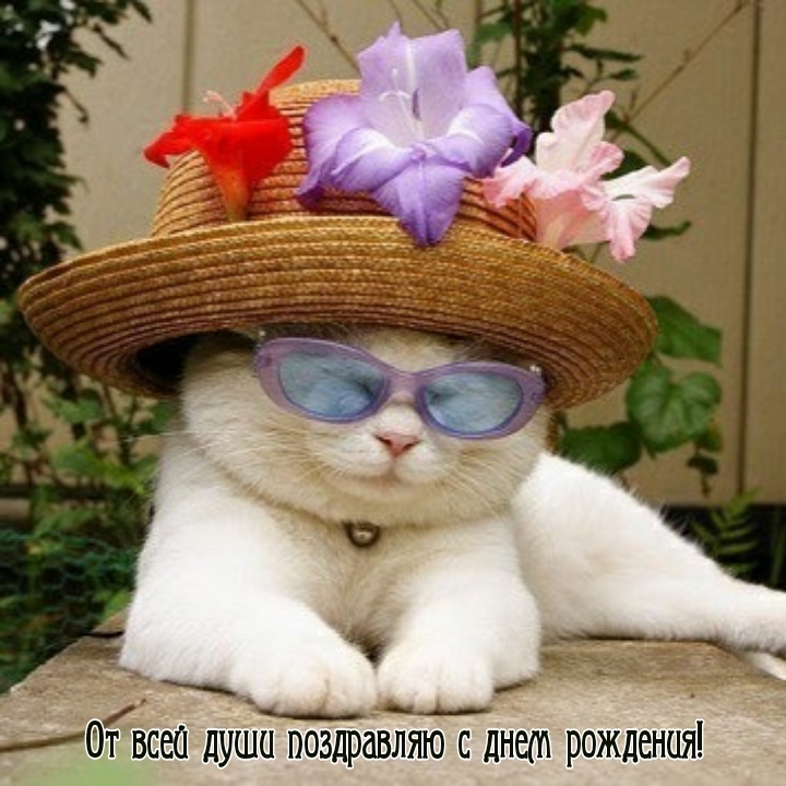 От всей души поздравляю с днем рождения!