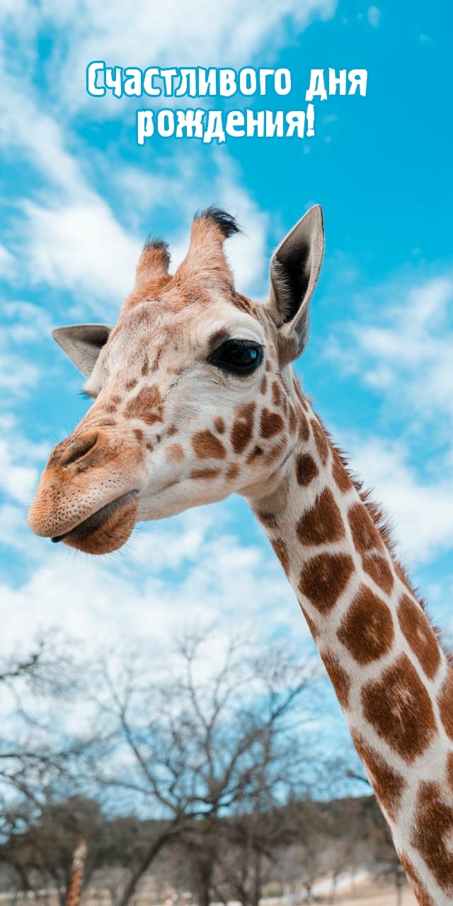 Счастливого дня рождения!