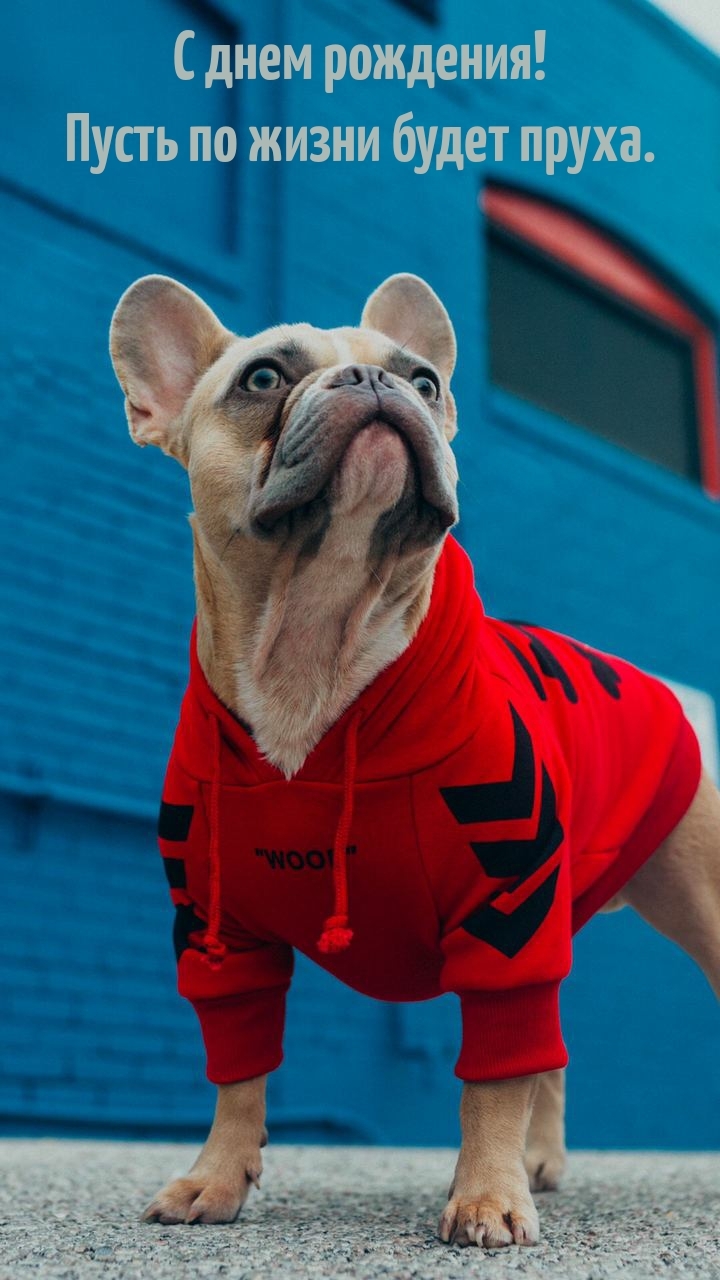 С днем рождения! Пусть по жизни будет пруха.