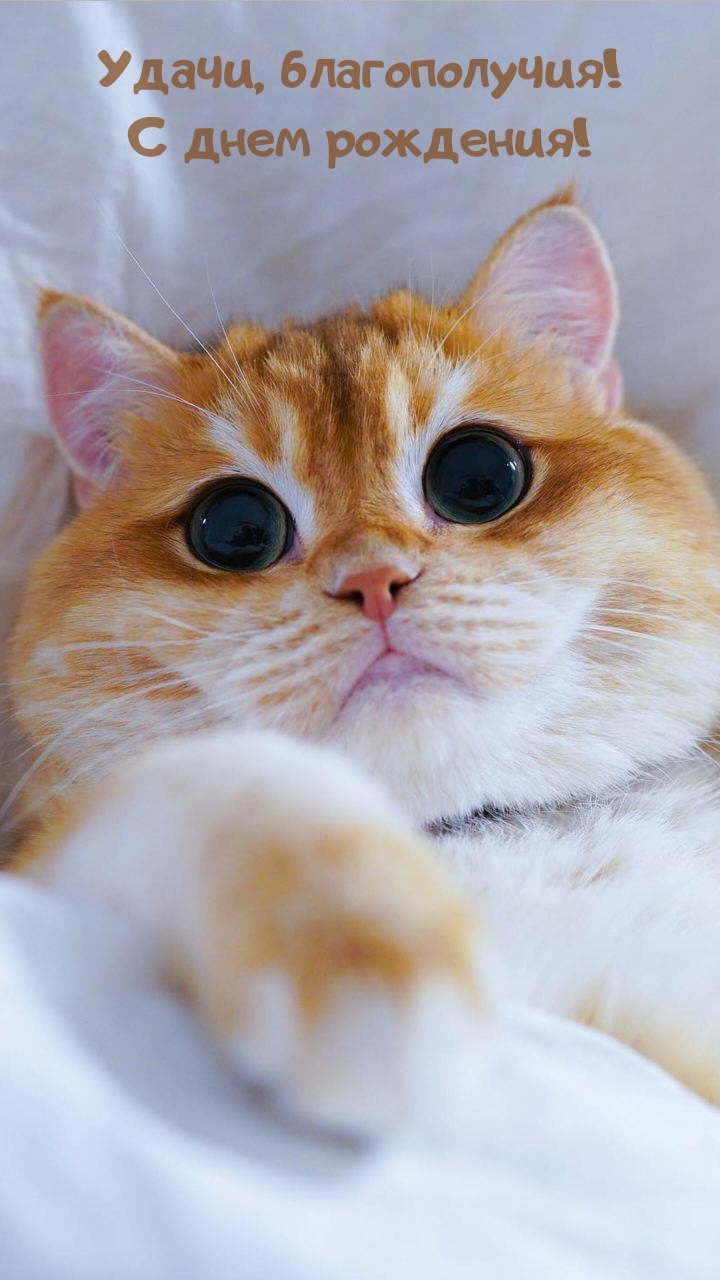 Удачи, благополучия! С днем рождения!
