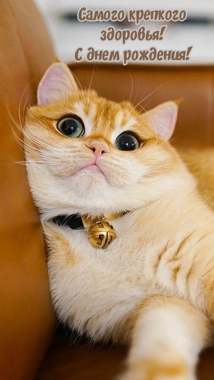 Самого крепкого здоровья! С днем рождения!