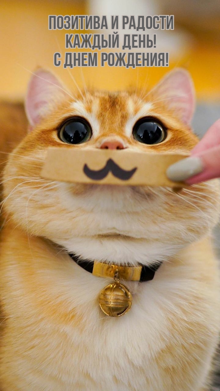 Позитива и радости каждый день! С днем рождения!