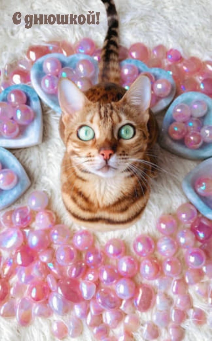 С днюшкой!