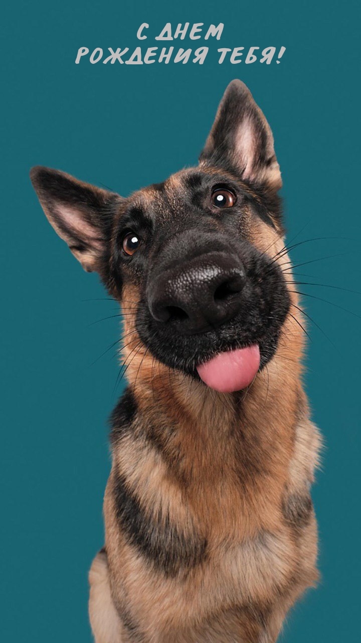 С днем рождения тебя!